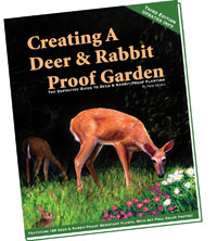 Creating-a-Deer-Proof-Garden