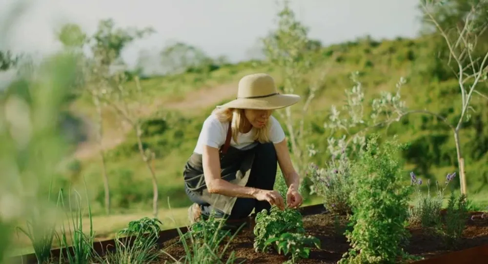 Gardener planting crops
